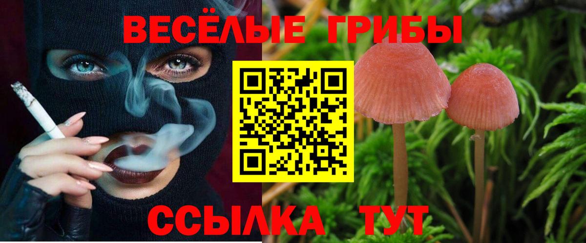 Галлюциногенные грибы Psilocybine cubensis  Вход с VPN  дарнет шоп  Галлюциногенные грибы Psilocybe  Солнечногорск 
